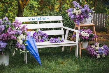 Similar image 21785561