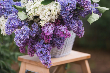 Similar image 21785562