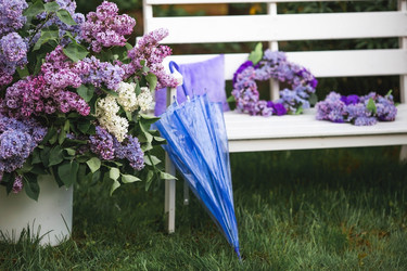 Similar image 21785564