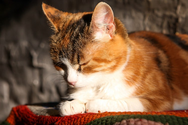 Similar image 21785566