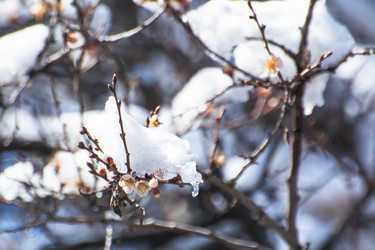 Similar image 21785800