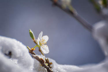 Similar image 21785801