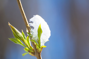 Similar image 21785805