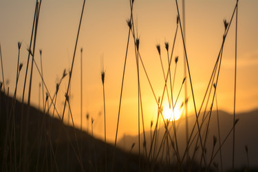 Similar image 21785806