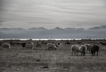 Similar image 21785807