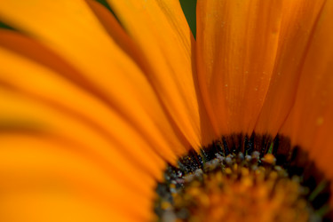 Similar image 21785808