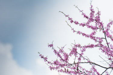 Similar image 21785821