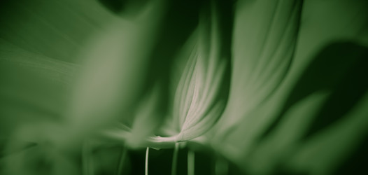 Similar image 21785822