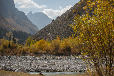 Similar image 21785830