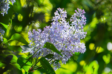 Similar image 21785833