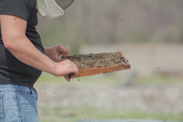 Similar image 21785840