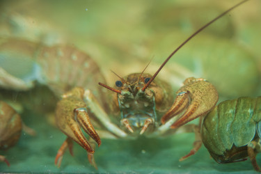 Similar image 21785842