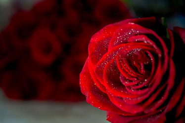 Similar image 21785843