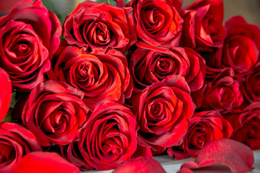 Similar image 21785844