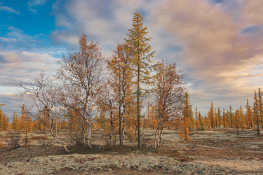 Similar image 21785848