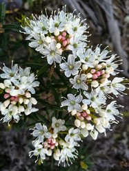 Similar image 21785872