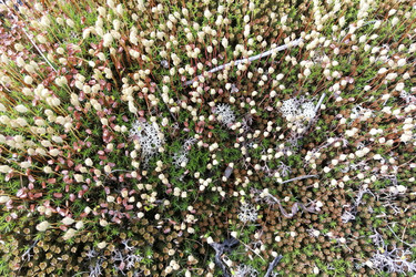 Similar image 21785873