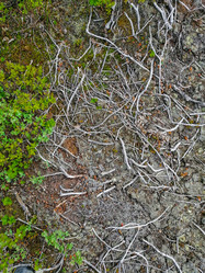 Similar image 21785874