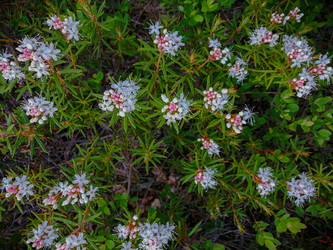 Similar image 21785875