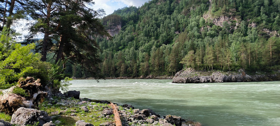 Similar image 21785779