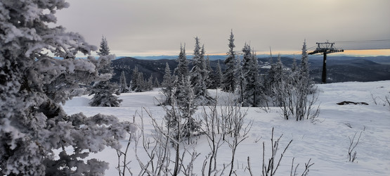 Similar image 21785780