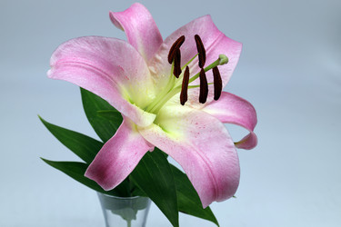 Similar image 21785365