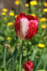 Similar image 21785961