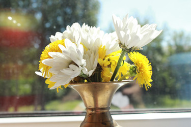 Similar image 21785962