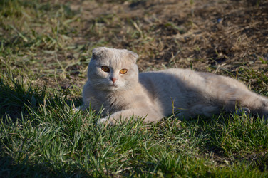 Similar image 21785963