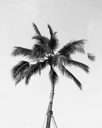 Similar image 21785975