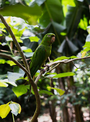 Similar image 21785976