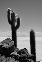 Similar image 21785978