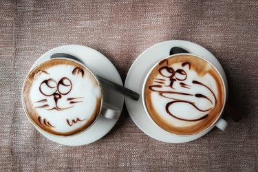 Similar image 21785880