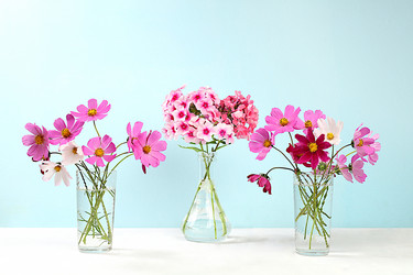 Similar image 21785994