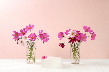 Similar image 21785996