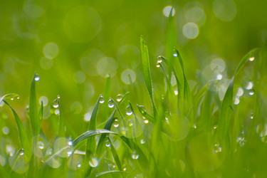 Similar image 21786546