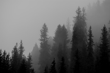 Similar image 21786556