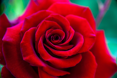 Similar image 21786559