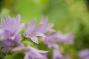 Similar image 21786564