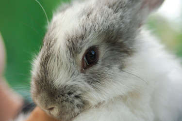 Similar image 21786565