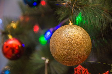 Similar image 21786569