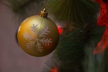 Similar image 21786570