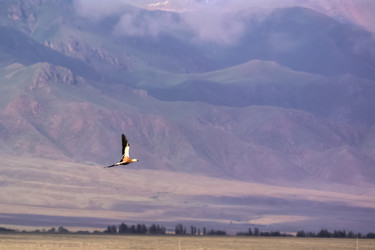 Similar image 21786575