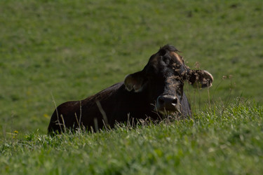 Similar image 21786576