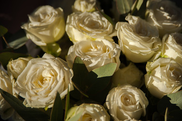 Similar image 21786582