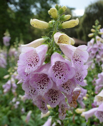 Similar image 21786008