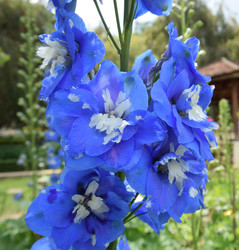 Similar image 21786009