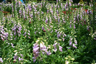 Similar image 21786011