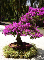 Similar image 21786013