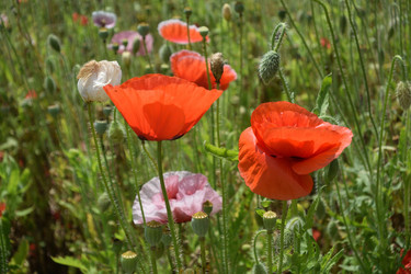 Similar image 21786014